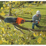 Висоторіз акумуляторний BLACK+DECKER з штангою, 18 В, 2 А/год, довжина шини 20 см, штанга довжиною від 150 до 244 см забезпечує досяжність гілок до 4,5 метрів, 1 акумулятор і зарядний пристрій, вага 4,85 кг