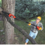 Висоторіз акумуляторний BLACK+DECKER з штангою, 18 В, 2 А/год, довжина шини 20 см, штанга довжиною від 150 до 244 см забезпечує досяжність гілок до 4,5 метрів, 1 акумулятор і зарядний пристрій, вага 4,85 кг